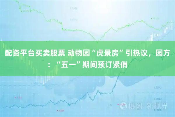 配资平台买卖股票 动物园“虎景房”引热议，园方：“五一”期间预订紧俏